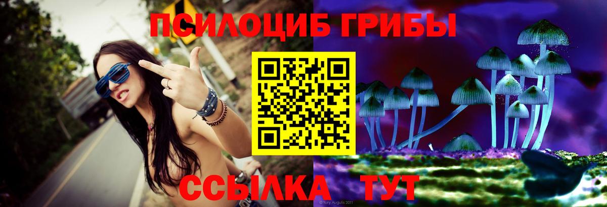 Псилоцибиновые грибы мицелий Лангепас